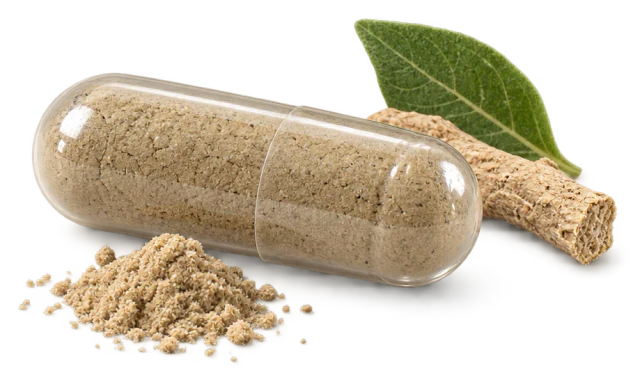 Illustration: a closed clear capsule filled with beige powder, a small pile of powder, a dried root and a leaf
