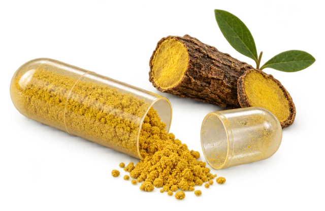 Illustration: an opened capsule with yellow powder, a piece of root and leaves