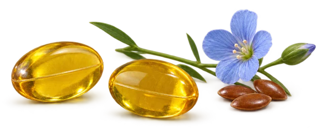 Illustration: two golden softgels with flax seeds and a blue flax flower